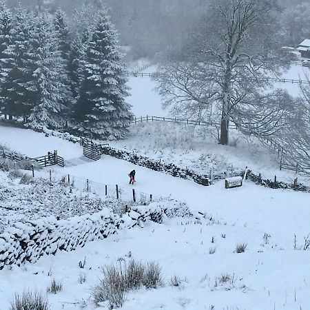 Climbers Cottage Rosedale Abbey Bagian luar foto