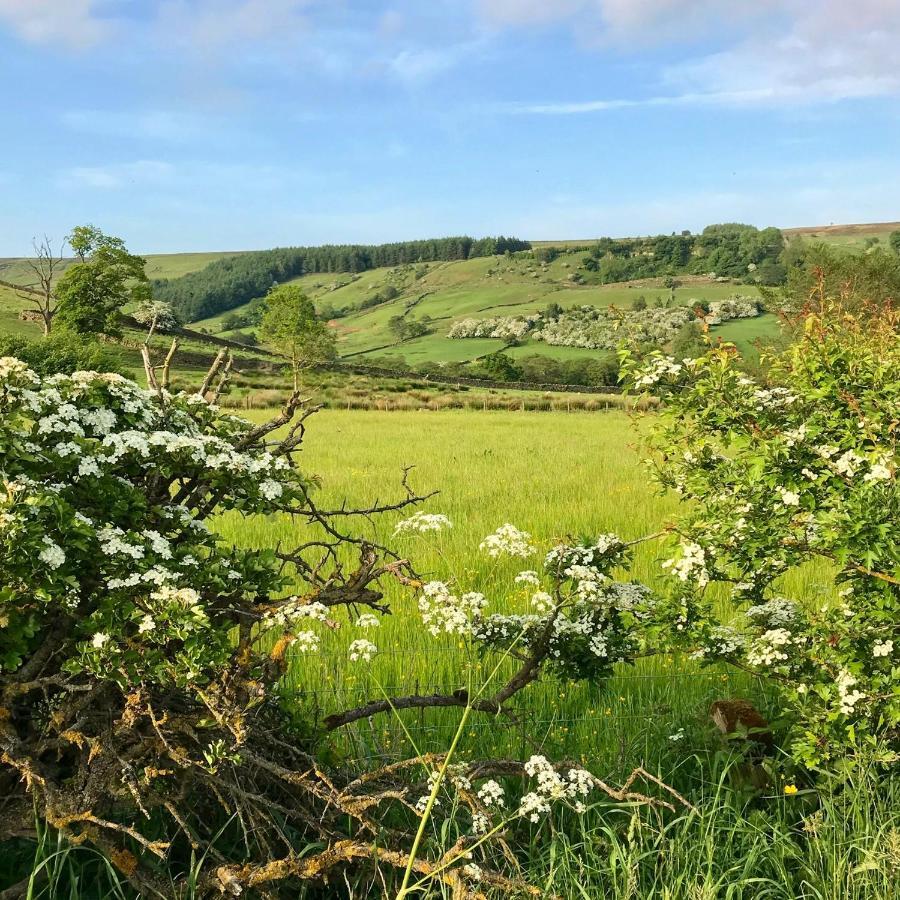 Climbers Cottage Rosedale Abbey Bagian luar foto